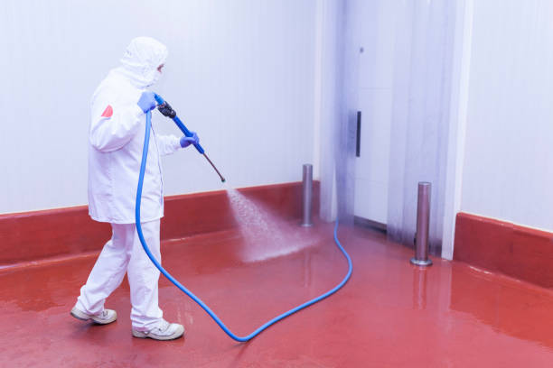  Apalachicola, FL Pressure Washing Pros